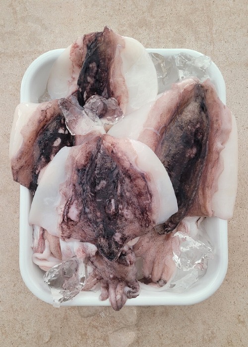 서천 자연산 손질 갑오징어 급냉(1kg, 8~9미)